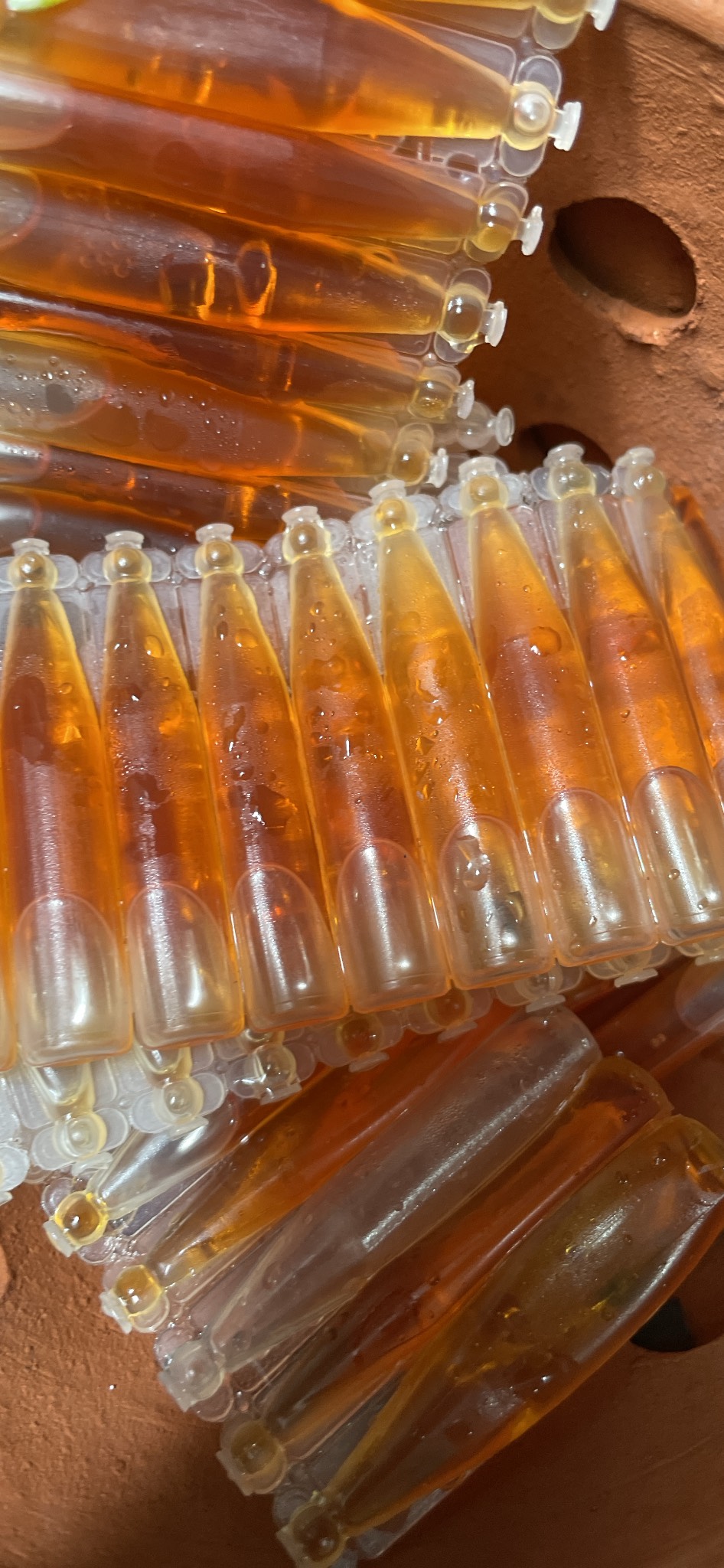 Ống dẫn dụ Ruồi Vàng 2ml