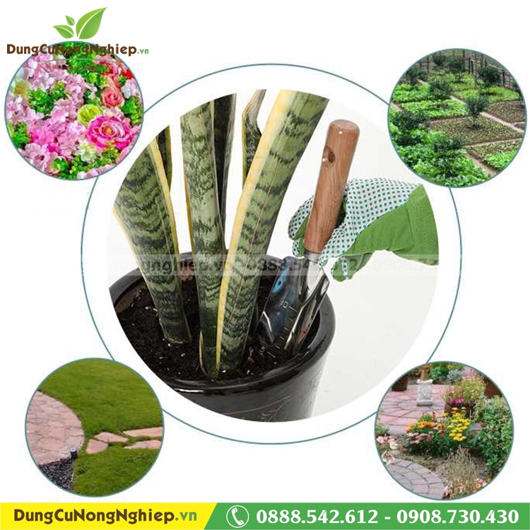 Bay tay lớn có thước đo Evergreen mũi nhọn