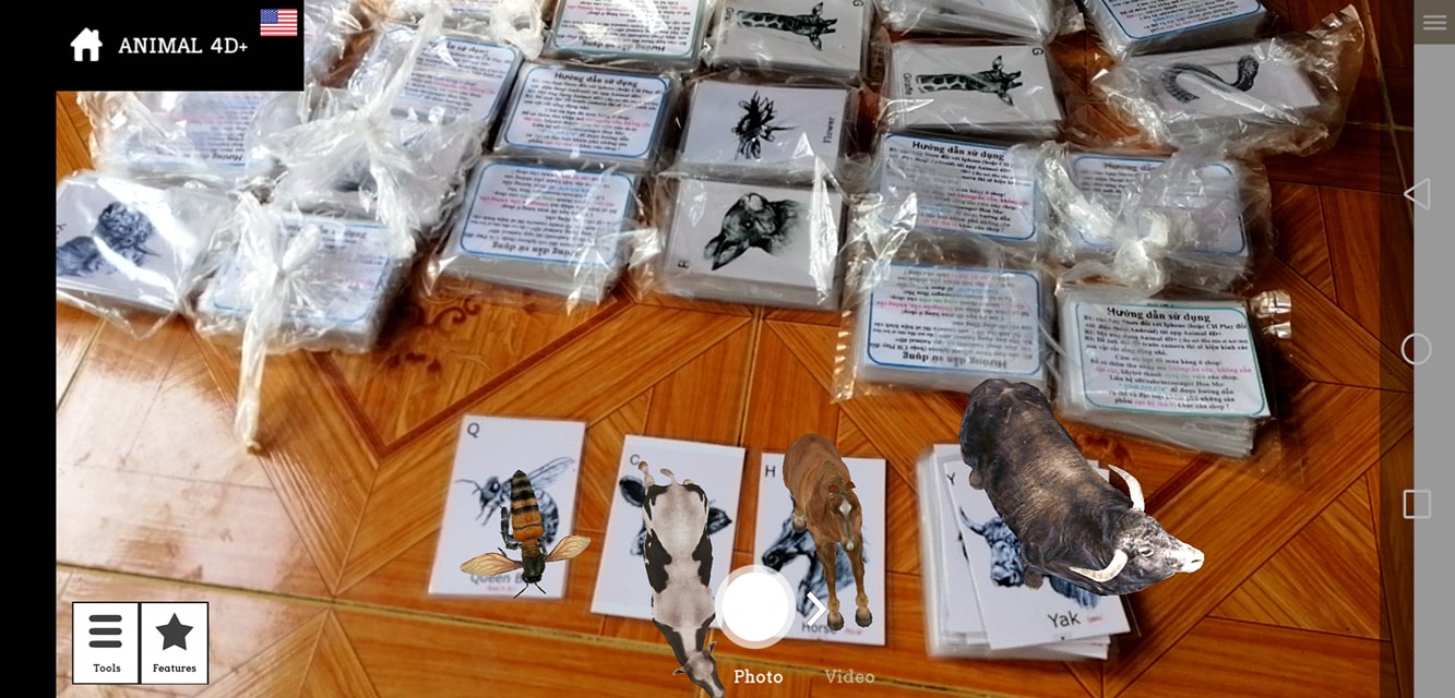 Bộ card 4D động vật trực quan cho bé