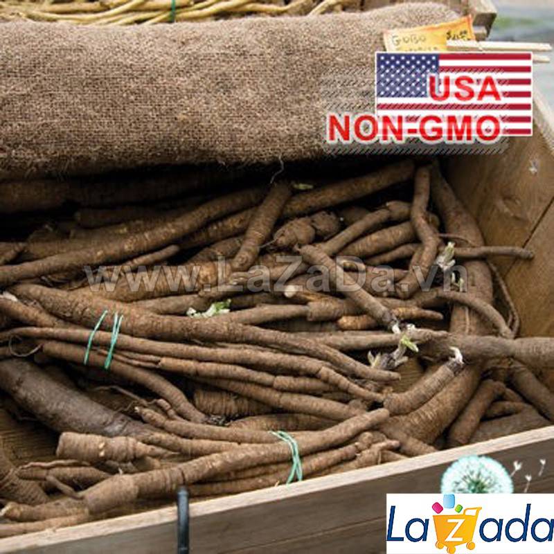 2Gr Hạt Giống Xà Lách Lollo Rossa (B1.402| B49*W52*M150)