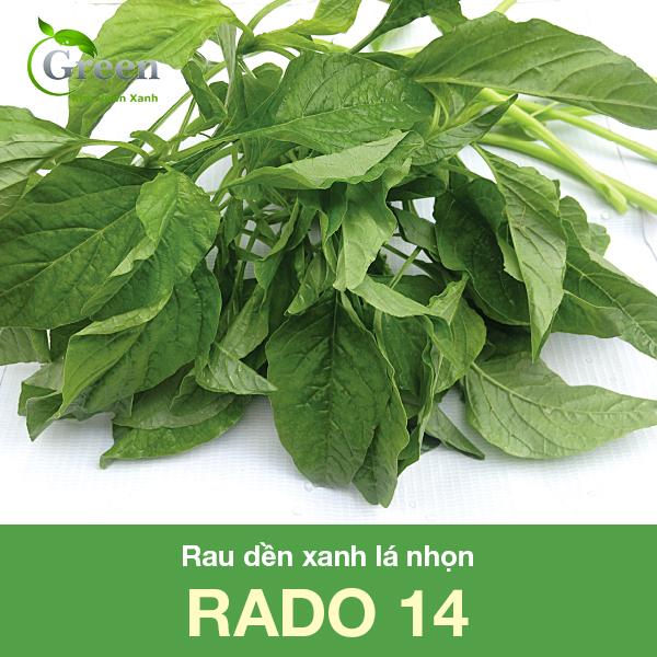 Hạt Giống Rau Dền Xanh Lá Nhọn Dễ Trồng, Nhanh Thu Hoạch Gói 20gam