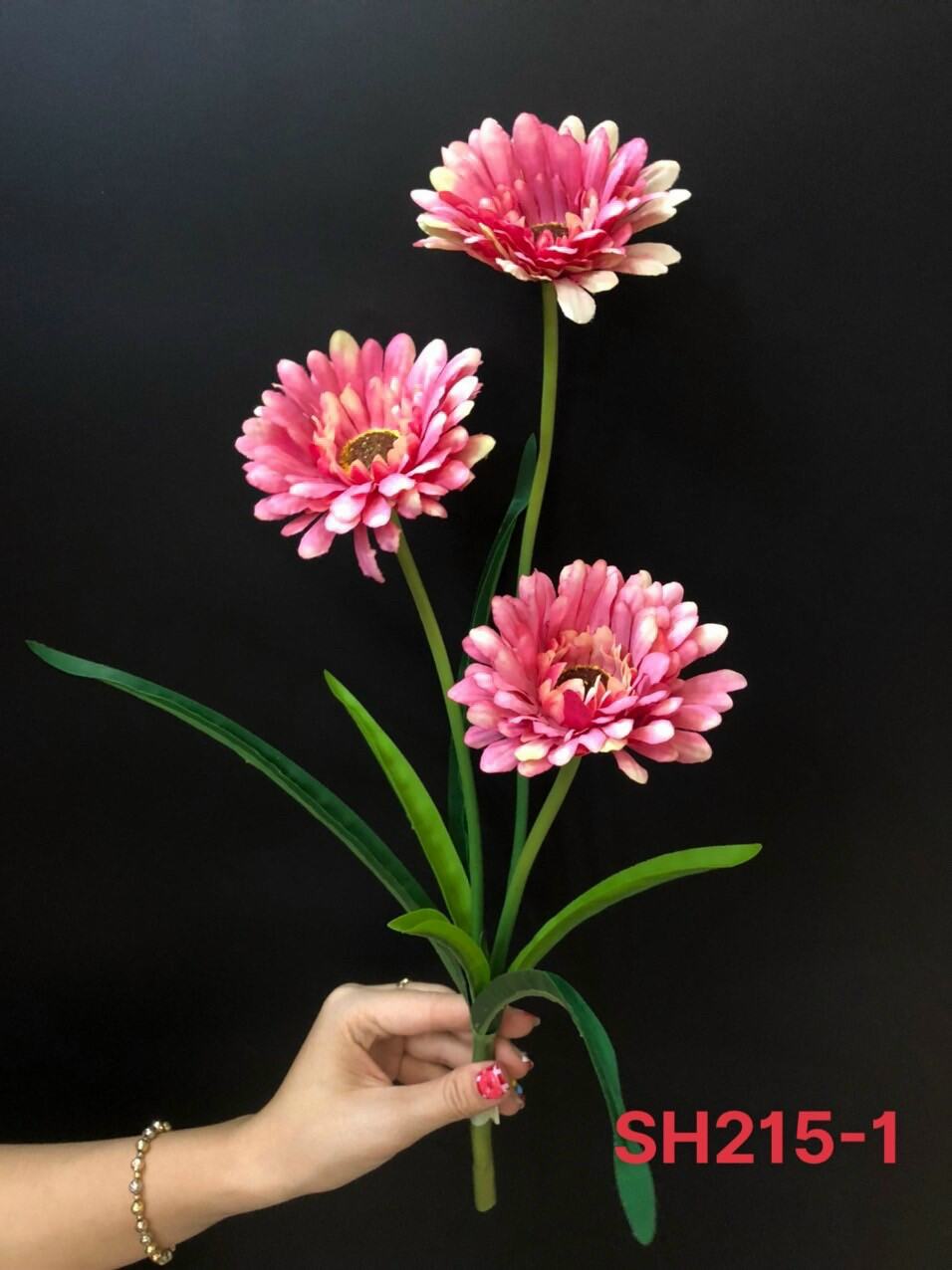 Hoa cúc vải đồng tiền