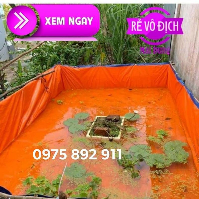 BỂ BẠT NUÔI ỐC , ẾCH ,CÁ , RUỒI LÍNH ĐEN - LOẠI 1