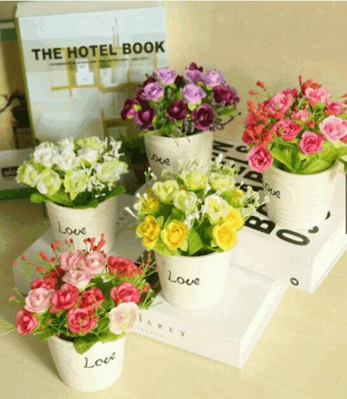 Chậu hoa love mini để bàn hoa nở