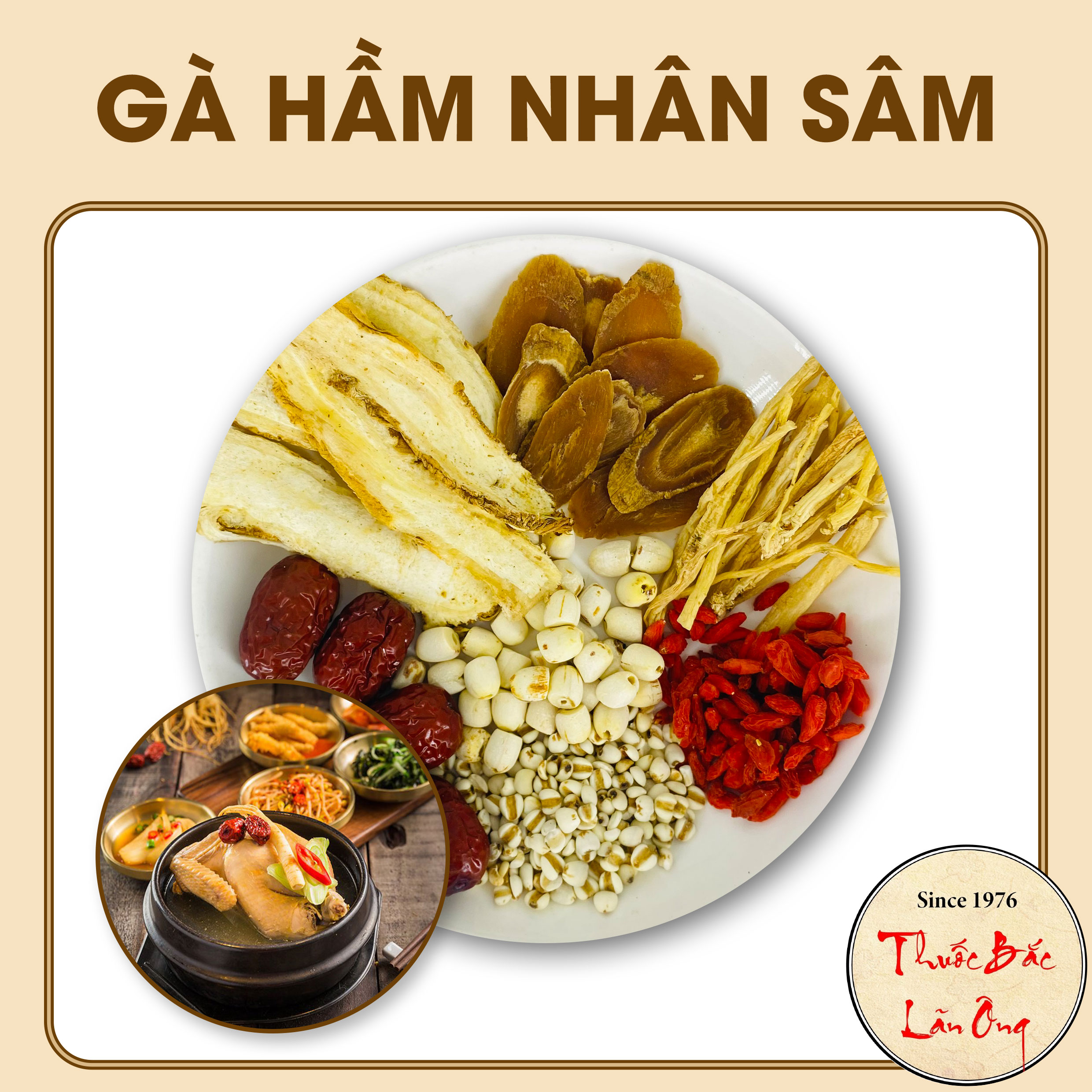 Gà hầm nhân sâm (Gói gia vị đầy đủ nguyên liệu thơm ngon bổ dưỡng, bổ khí huyết, an thần) - Lãn Ông
