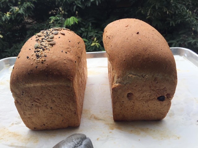 Bột mì nguyên cám - whole wheat flour 1kg