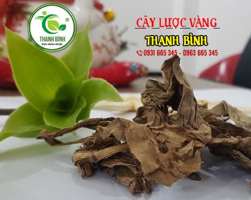 Cây lược vàng tươi 1kg - thảo dược thanh bình