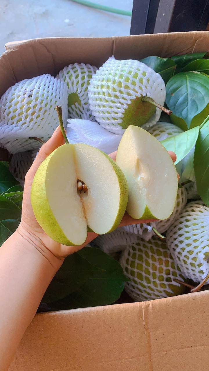 VG FARM Lê Đá giòn, ngọt, chắc trái
