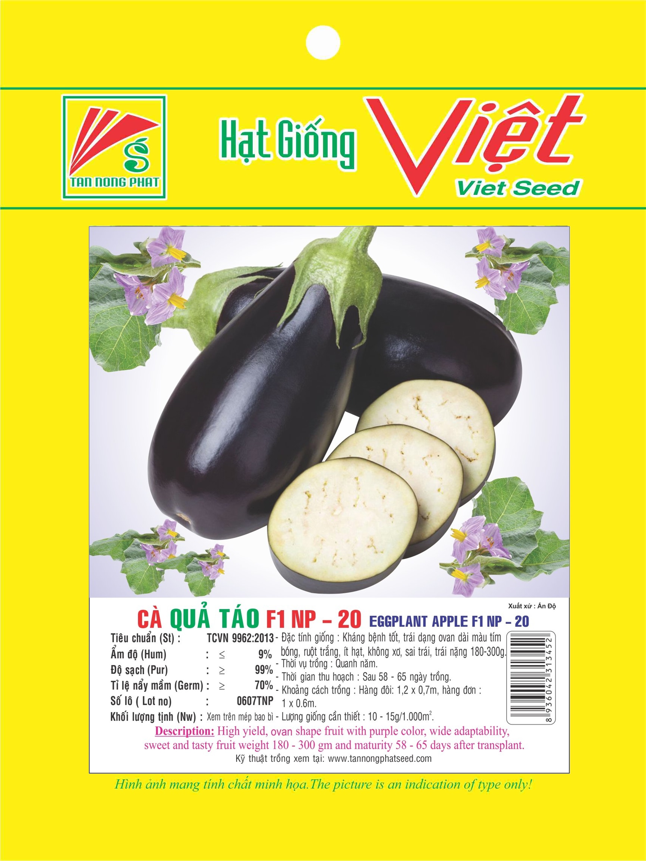 Hạt giống cà phổi sọc lem rado 706 rạng đông gói 0.5gram