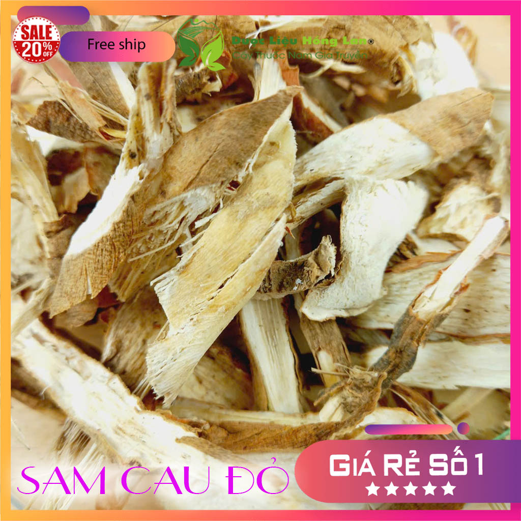 [FreeshipMAX] Dược liệu SÂM CAU ĐỎ khô sạch đóng gói 500gram