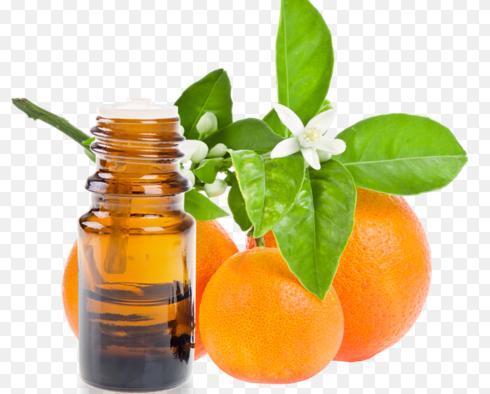 Tinh dầu Cam Ngọt 10ml Thảo Mộc Xanh