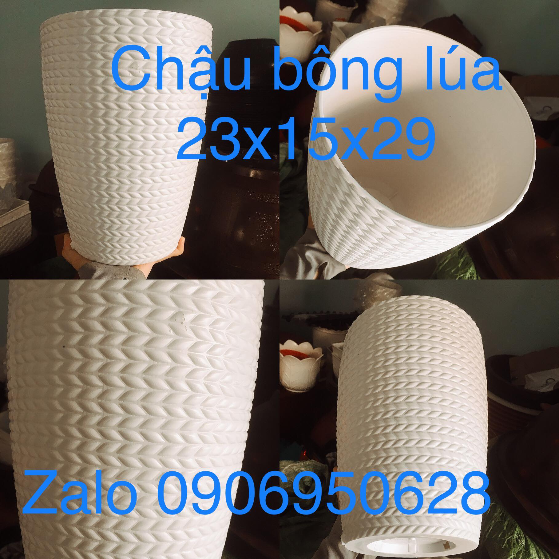 [HCM]chậu nhựa bông lúa 28 (có kèm dĩa lót)