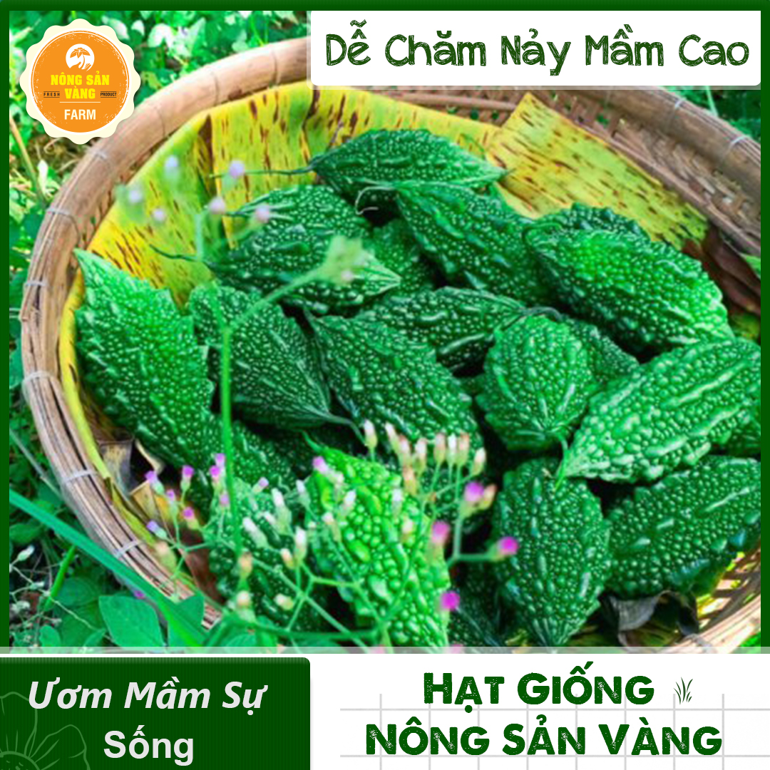 Hạt giống Khổ Qua Rừng Nảy Mầm Cao, Giàu Giá Trị Dinh Dưỡng ( Gói 10 Hạt ) - Nông Sản Vàng