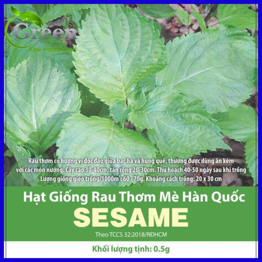 Hạt Giống Rau Thơm Mè Hàn Quốc (Lá Vừng) Dễ Trồng