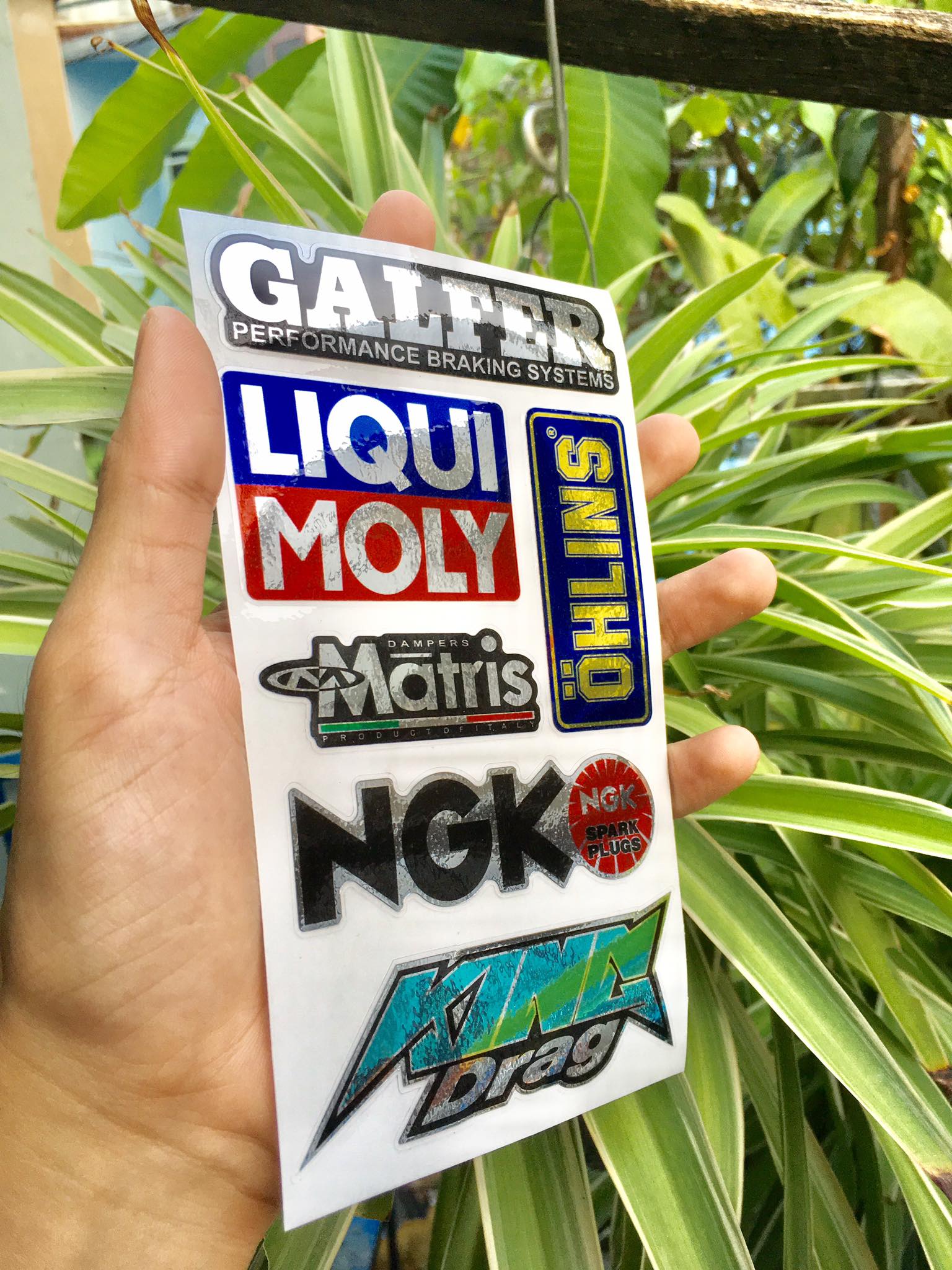 [HCM]TEM LOGO SI CROM KING DRAG GARFER LIQUI