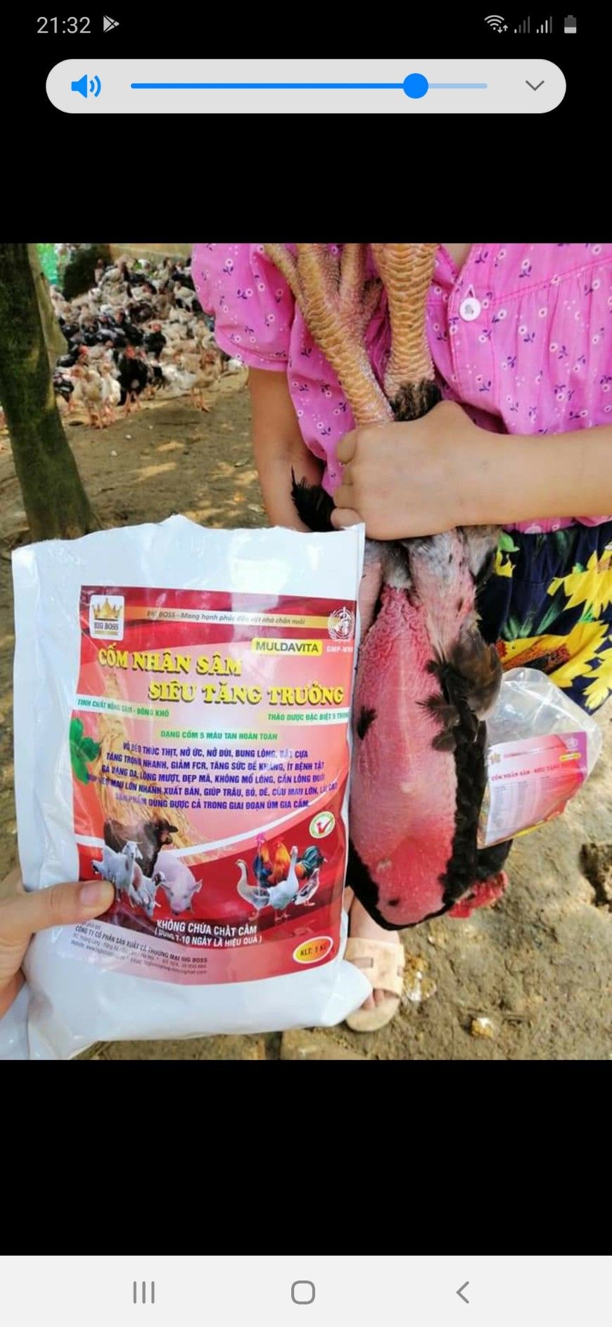 CỐM NHÂN SÂM SIÊU TĂNG TRƯỞNG CHO GÀ VỊT HEO DÊ