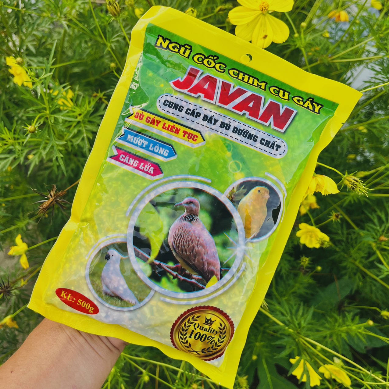 Ngũ cốc chim cu gáy Javan 500gram