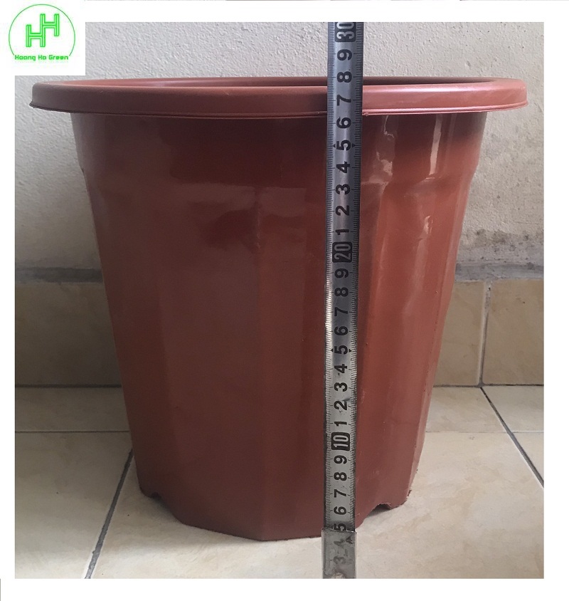 Chậu Nhựa Trồng Hoa, Cây Cảnh E350 CN