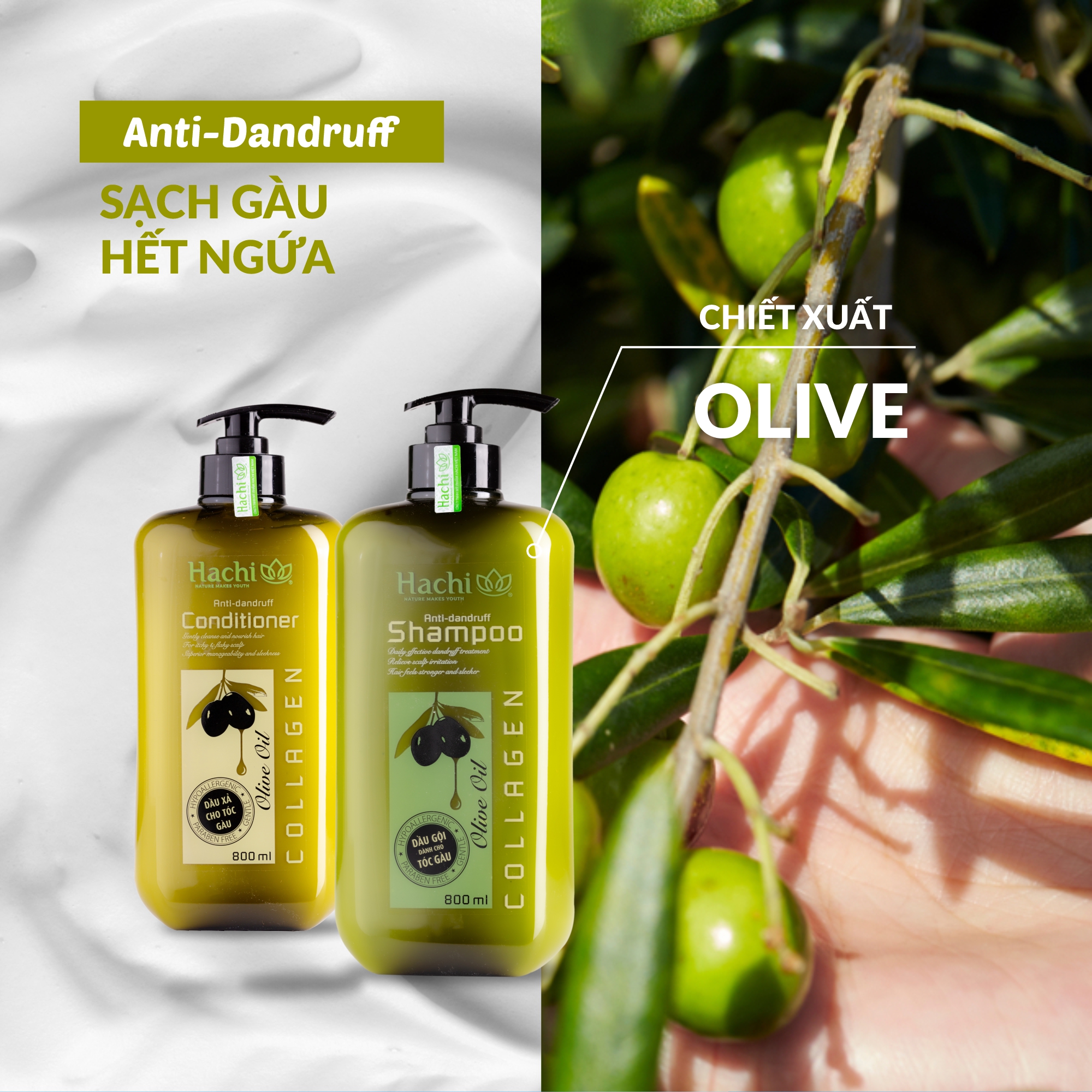 Dầu gội Olive Hachi cho tóc gàu