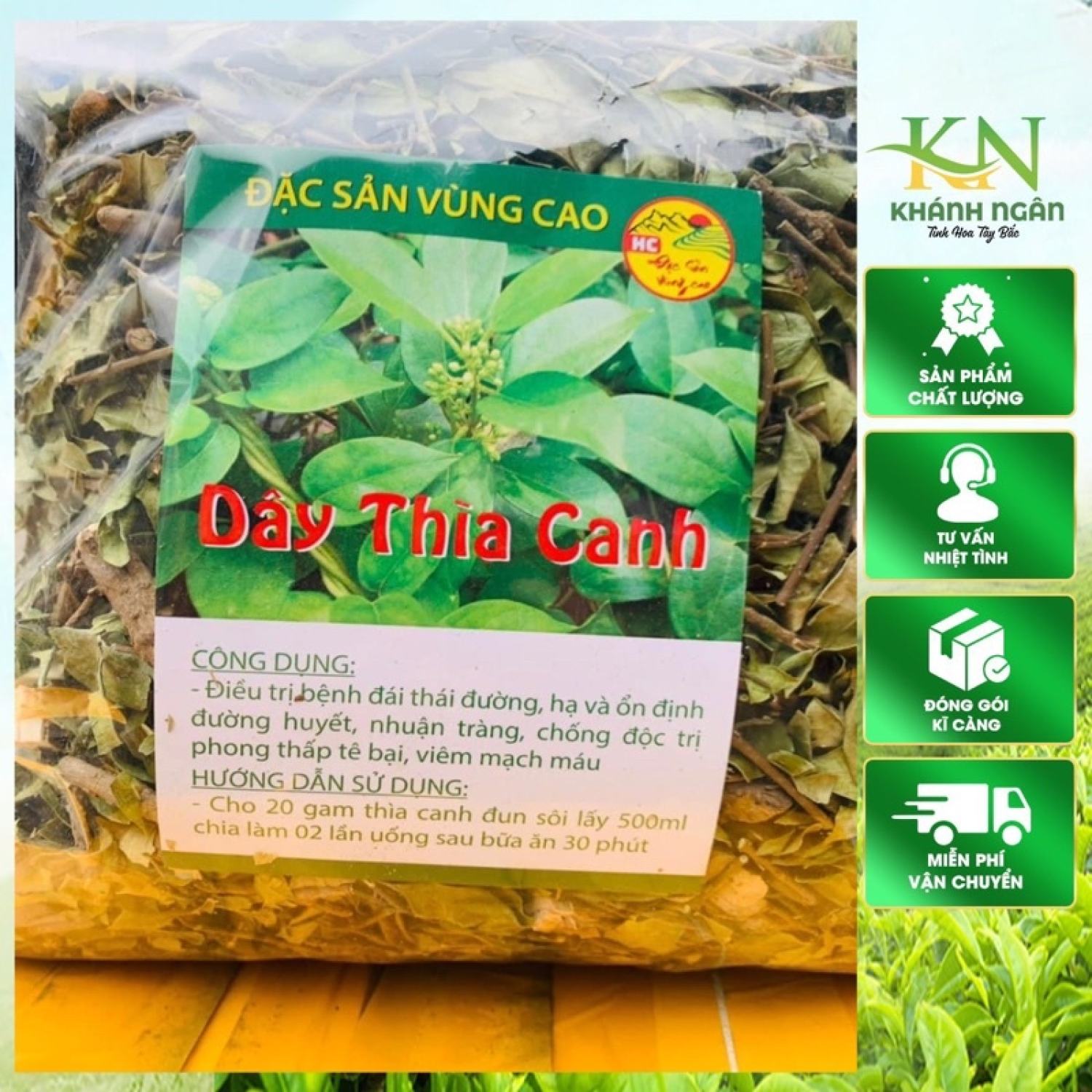 Dây thìa canh khô loại 1 lá to chuyên trị tiểu đường giúp ổn định đường huyết