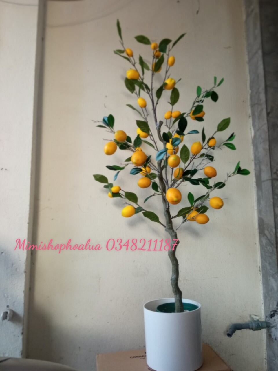 Cành quả chanh giả trang trí