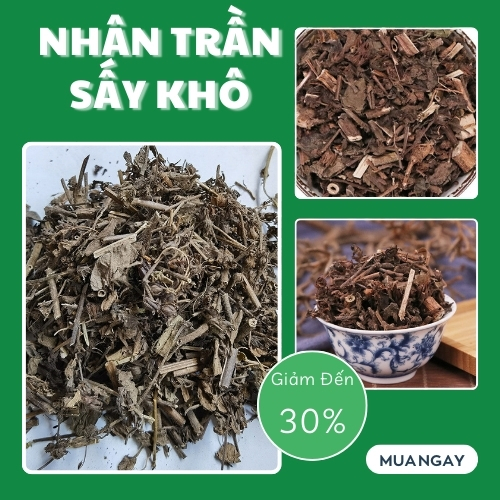 Nhân trần 1kg Tấn Phát - Hàng công ty chất lượng cao - Thảo Dược Tấn Phát
