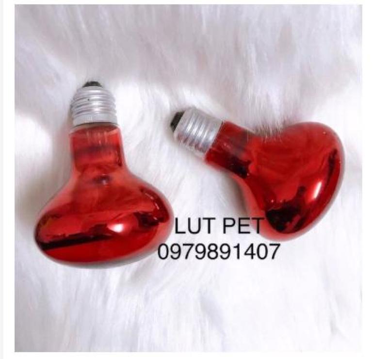 BÓNG ĐÈN SƯỞI ẤM CHO CHÓ MÈO - BÓNG ĐÈN SƯỞI HỒNG NGOẠI CHO CÚN CON, GÀ, THÚ CƯNG GIA SÚC GIA CẦM 75W