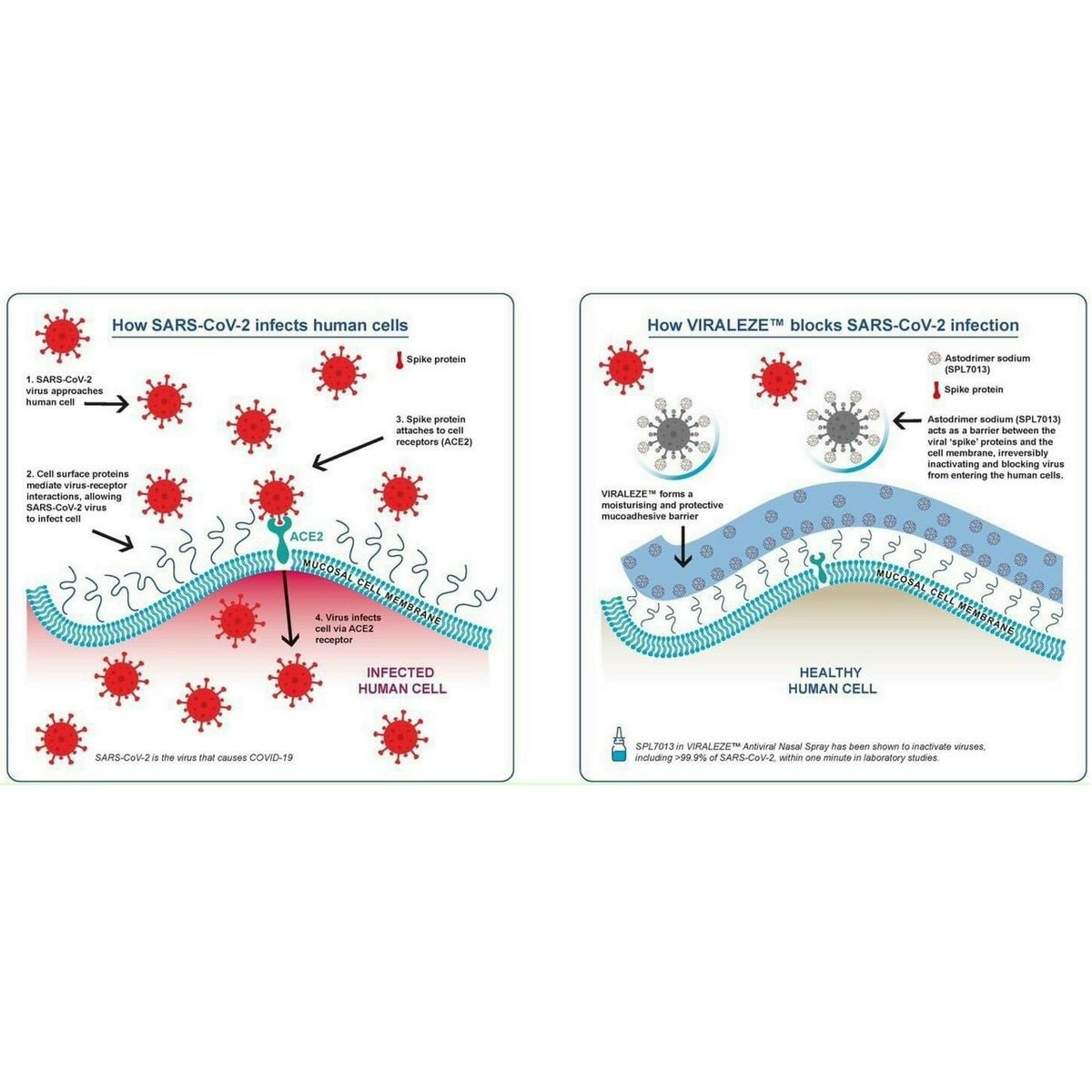 Bình xịt mũi kháng khuẩn/virus - Viralaze
