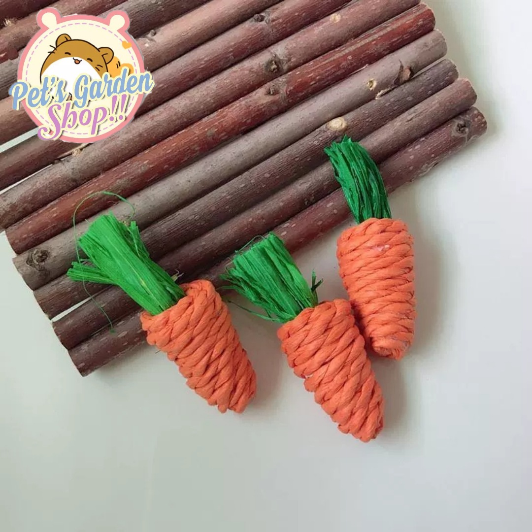 Cà rốt mài răng cho hamster