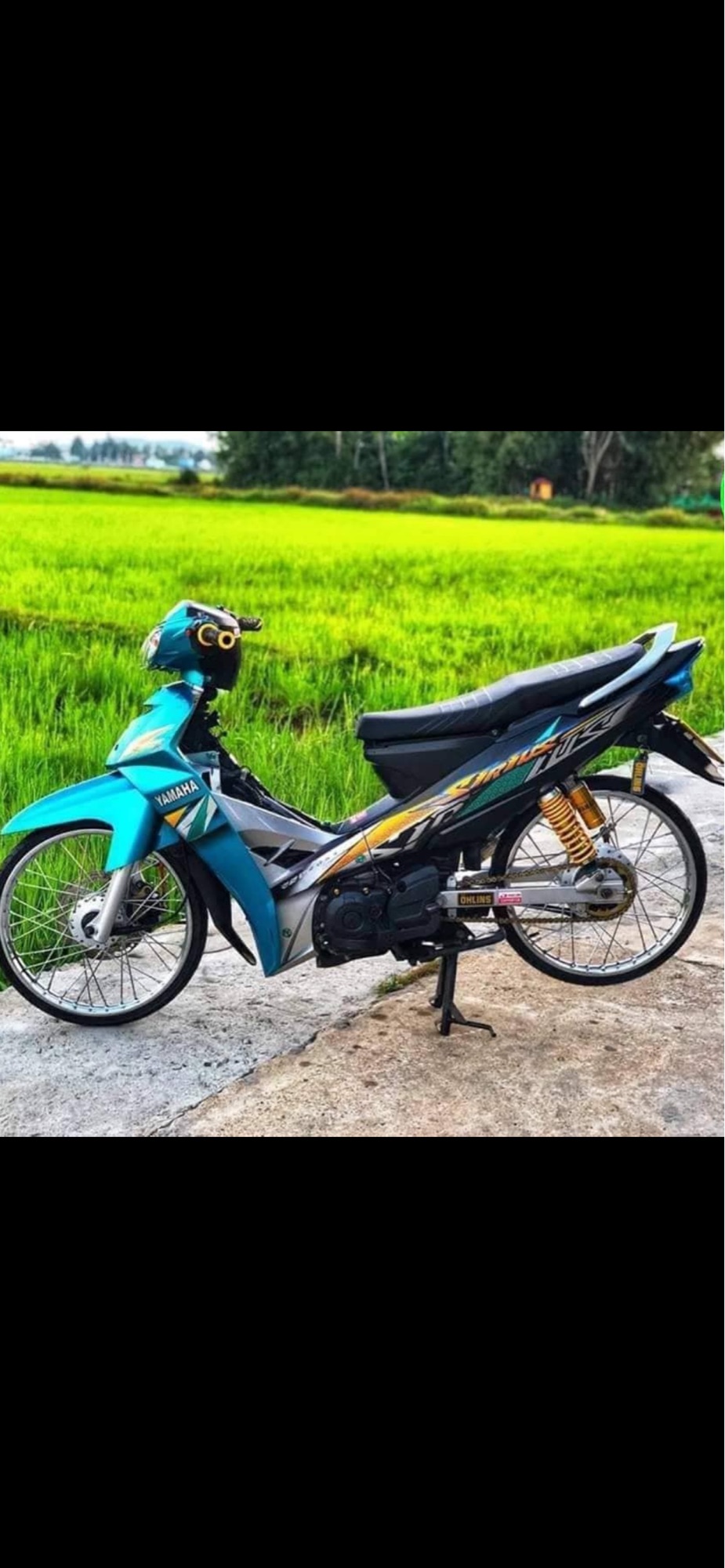 Tem rời sirius mẫu hoa văn decal trắng sữa