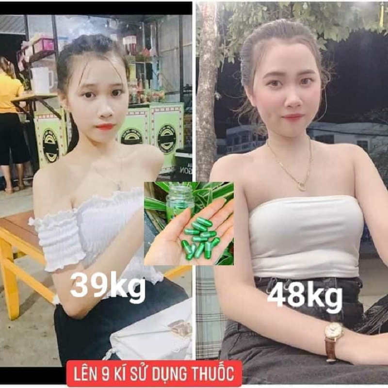 Thảo Mộc Tăng Cân Gold Tiến Hạnh