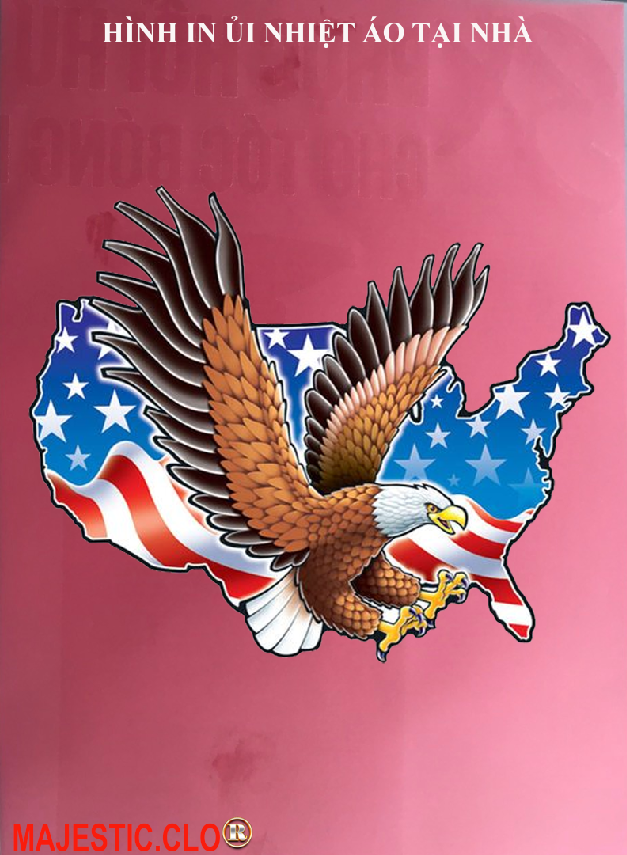 Eagle american