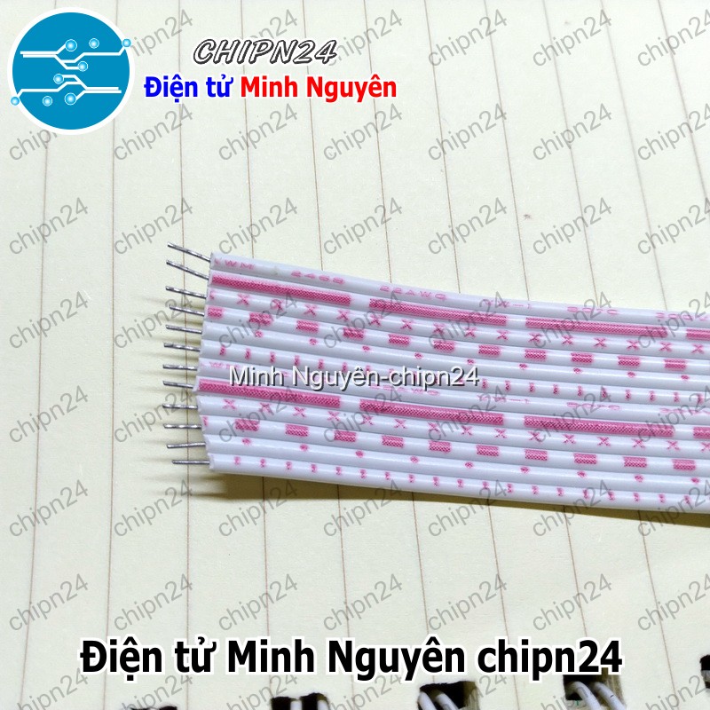 [1 mét] Dây bẹ 12p (1mét) - HH001018