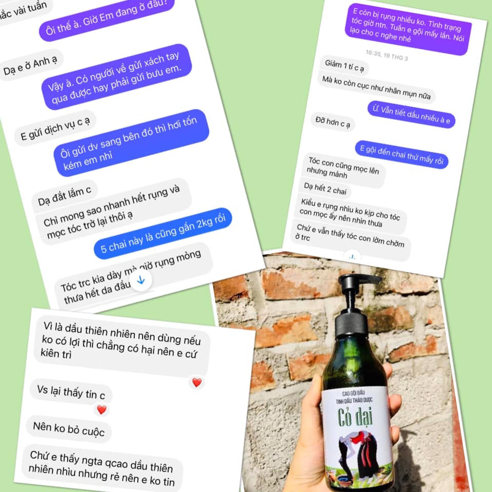 Cao gội đầu Thảo dược Cỏ dại