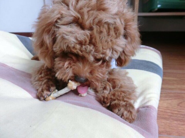 Xương sữa quấn gà nướng😘