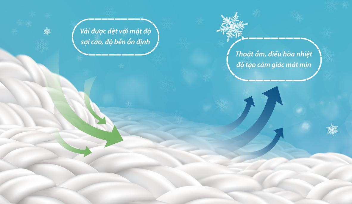 Bộ Ga Ice Tencel Everon ENTS403