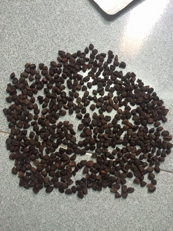 Combo 200g mắc khén, 50g hạt dổi