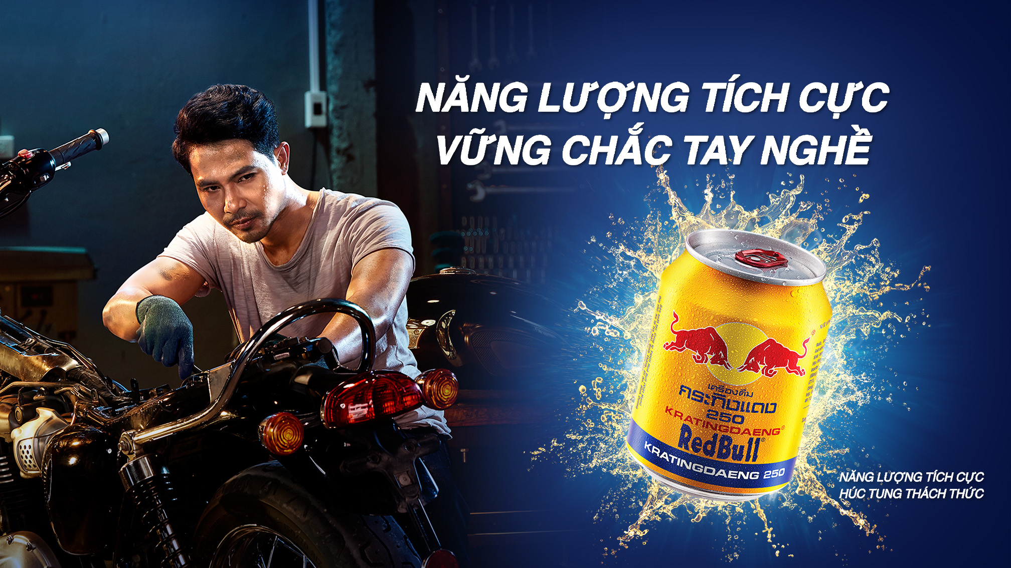 LỐC 6 LON REDBULL BÒ HÚC VIỆT 250ML