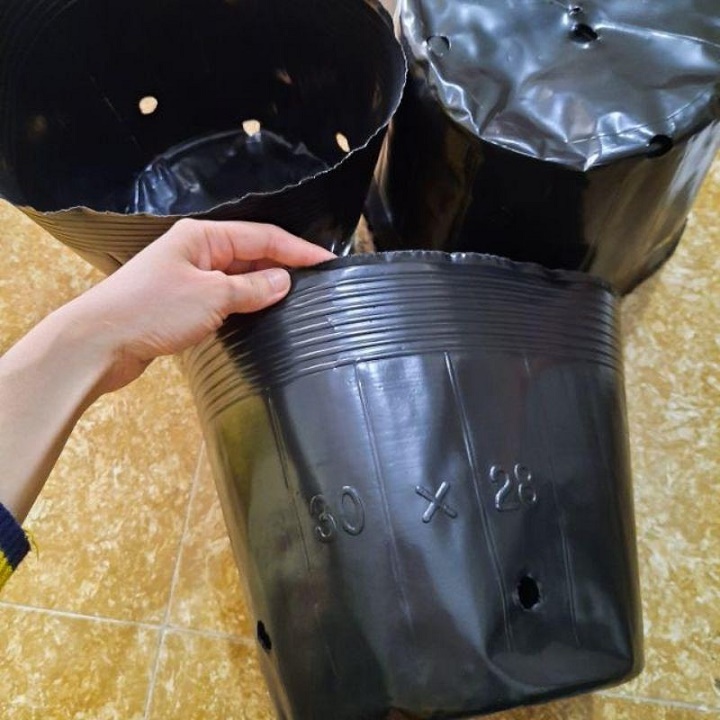 1kg chậu ươm cây giống nilon đen - đủ mọi kích thước - bầu ươm cây giống các loại cây trồng