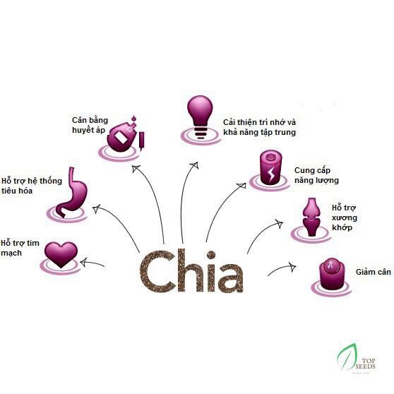 Hạt chia Blak Bag nhập khẩu Úc 500g (date 2025)