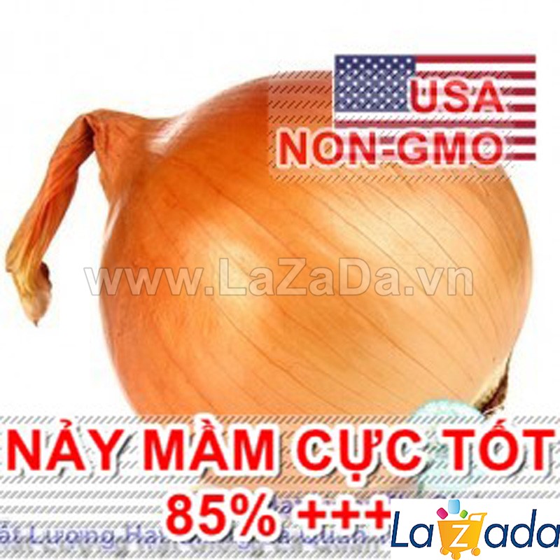 0.3gr hạt giống hành củ vàng texas grano