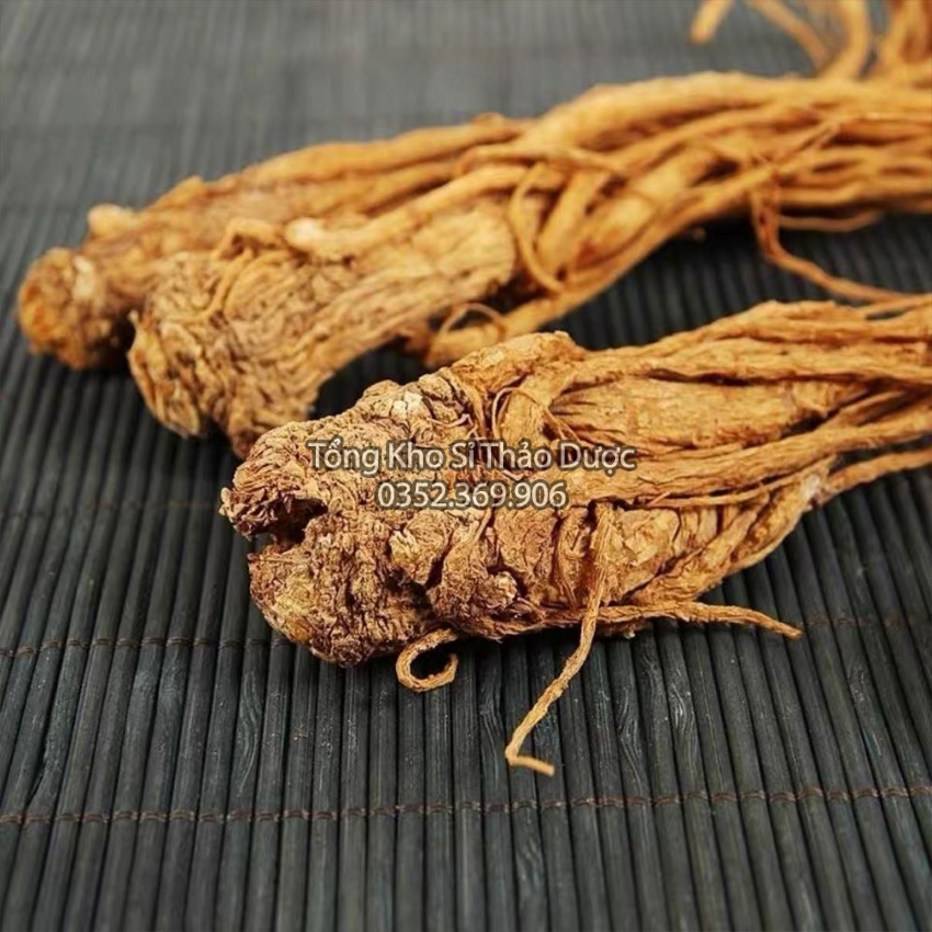 Sâm Đương Quy 500g (Củ Đương Quy)