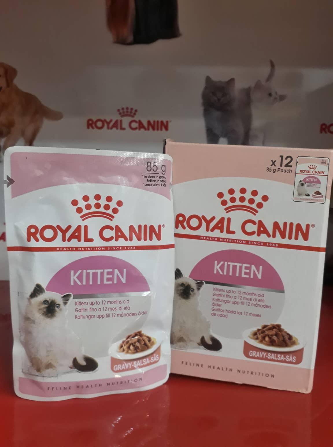 Combo 6 gói Sốt thịt cho mèo con Royal canin Kitten Gravy 85g