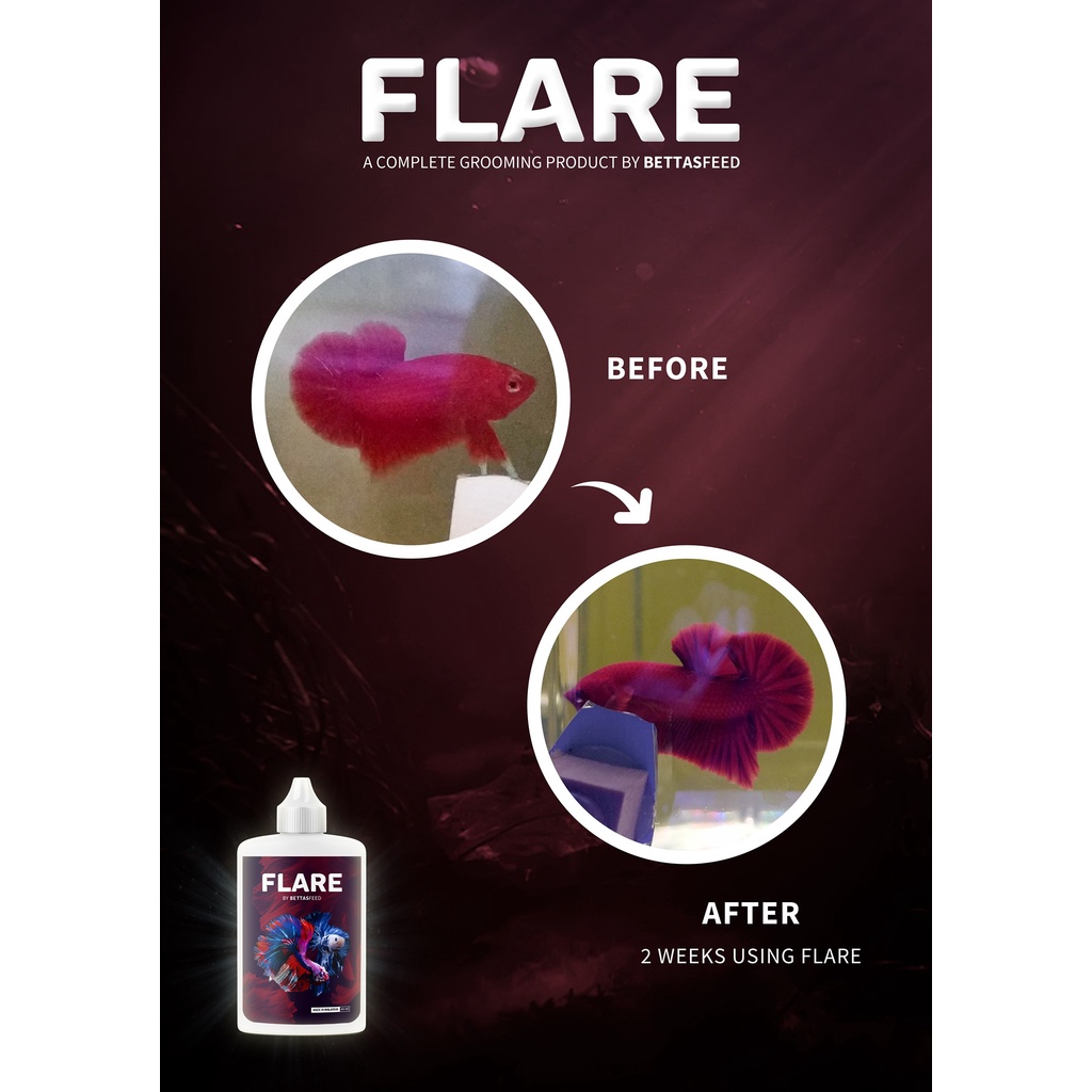 Combo t.h.u.ốc ép cá Flare & Flare AID
