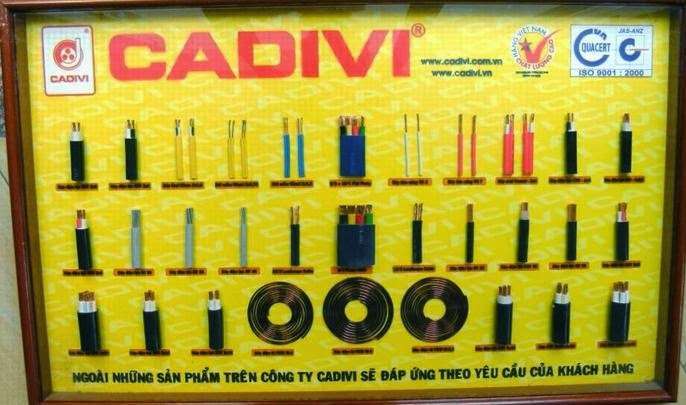 Dây điện Cadivi 20 mét dây đơn 2,5 mm2