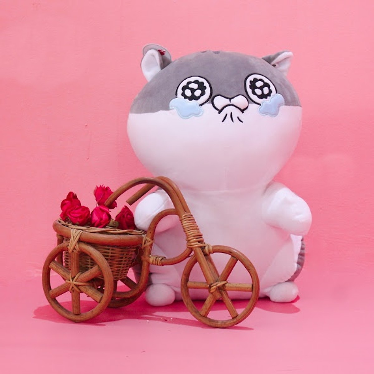 Gấu bông mèo ami bụng bự (60cm)