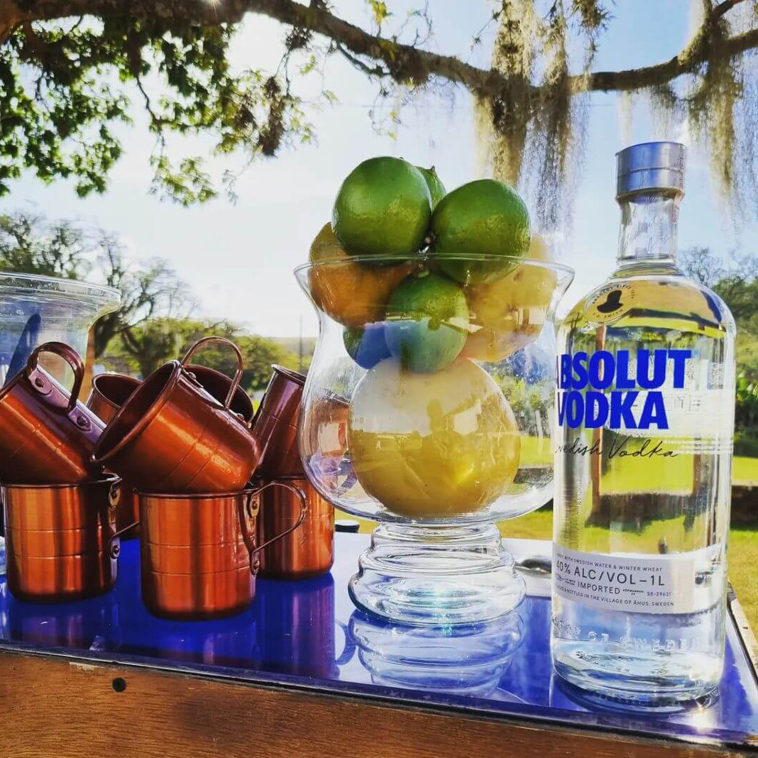 Vodka ABSOLUT 700ml làm nguyên liệu pha chế