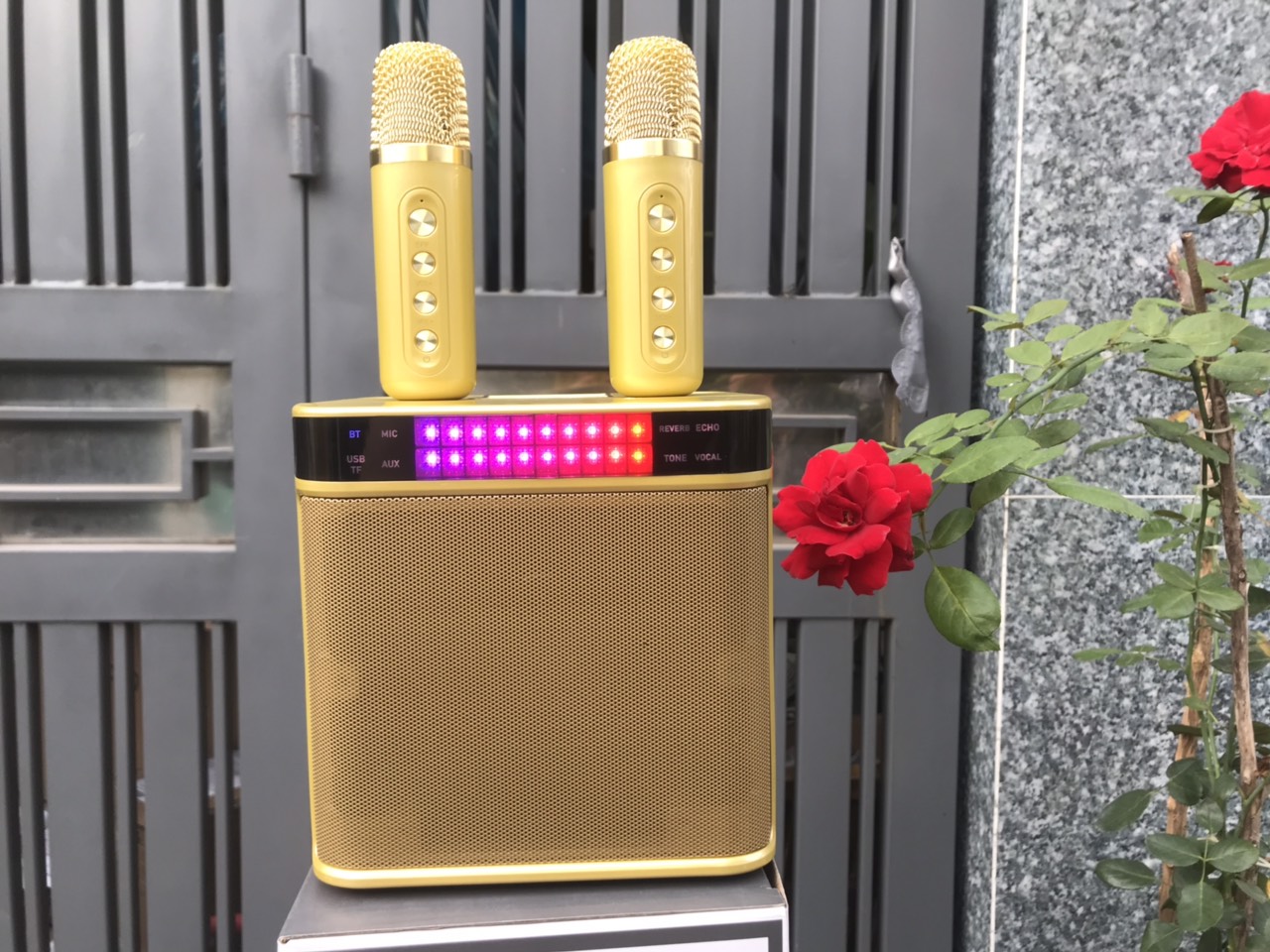 Loa Bluetooth Karaoke Su-Yord YS223