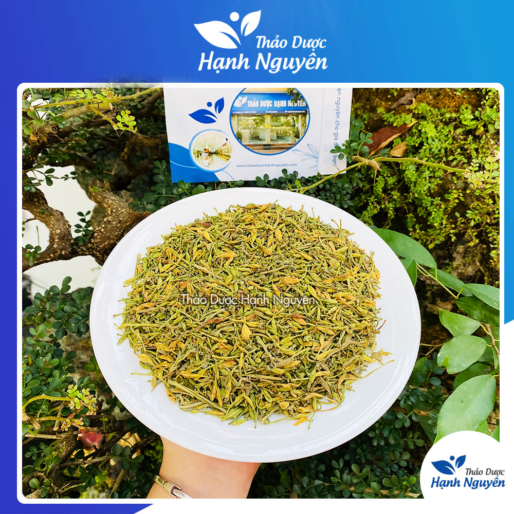 Hoa đu đủ đực sấy khô 100g - Thảo Dược Hạnh Nguyên