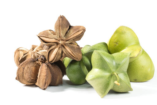 Hạt sachi cao cấp, hàng mới 500gr